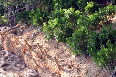 brooks_lft_dock_after