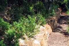 brooks_rt_dock_after