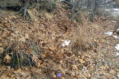 brooks_rt_dock_before