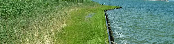 waterfront restoration