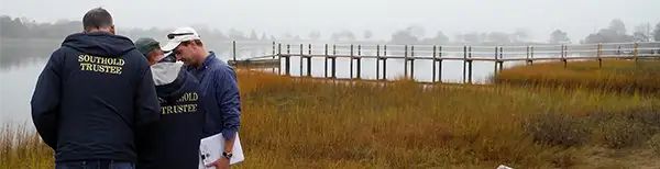 Wetland Deliniation